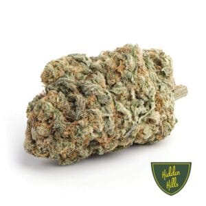 Apple Fritter