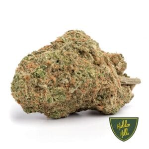 Dutch Treat